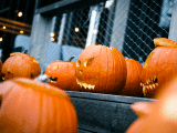 Halloween 🎃 dla całej rodziny! 👻 Przygotuj się na przygodę. 🧡