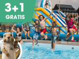 👉 19.6. jest świętem: Skorzystaj z oferty 3+1 noc gratis i oszczędzaj! 🤩