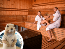👉Magiczna jesień na Liptowie z wellness wliczonym w cenę. ✨